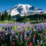 National Parks
