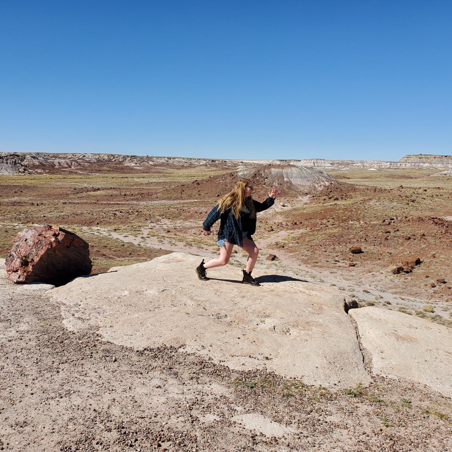Road Trip 2019 (Petrified Forest National Park)