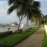The Palm Beach Lake Trail