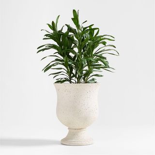 Malta Urn Indoor/Outdoor Planter
