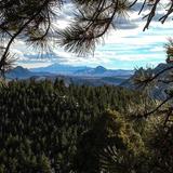 Hike in Conifer