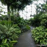 Missouri Botanical Garden