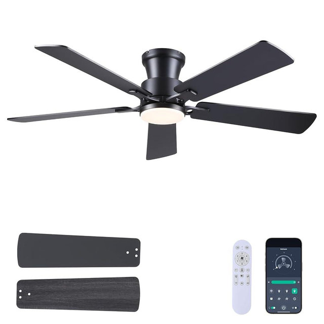 JSAITEE Ceiling Fans with Lights - Flush Mount Low Profile Flush Mount Ceiling Fans,DC Reversible Motor, 3CCT Dimmable, Noiseless, 6 Speeds Black Modern Ceiling Fan for Indoor/Outdoor