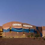 OdySea Aquarium