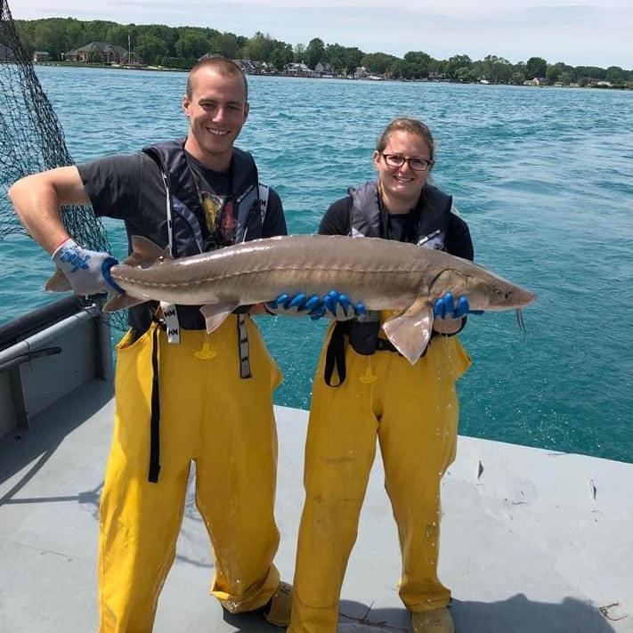 Sturgeon Survey on Lake St. Claire in Detroit
