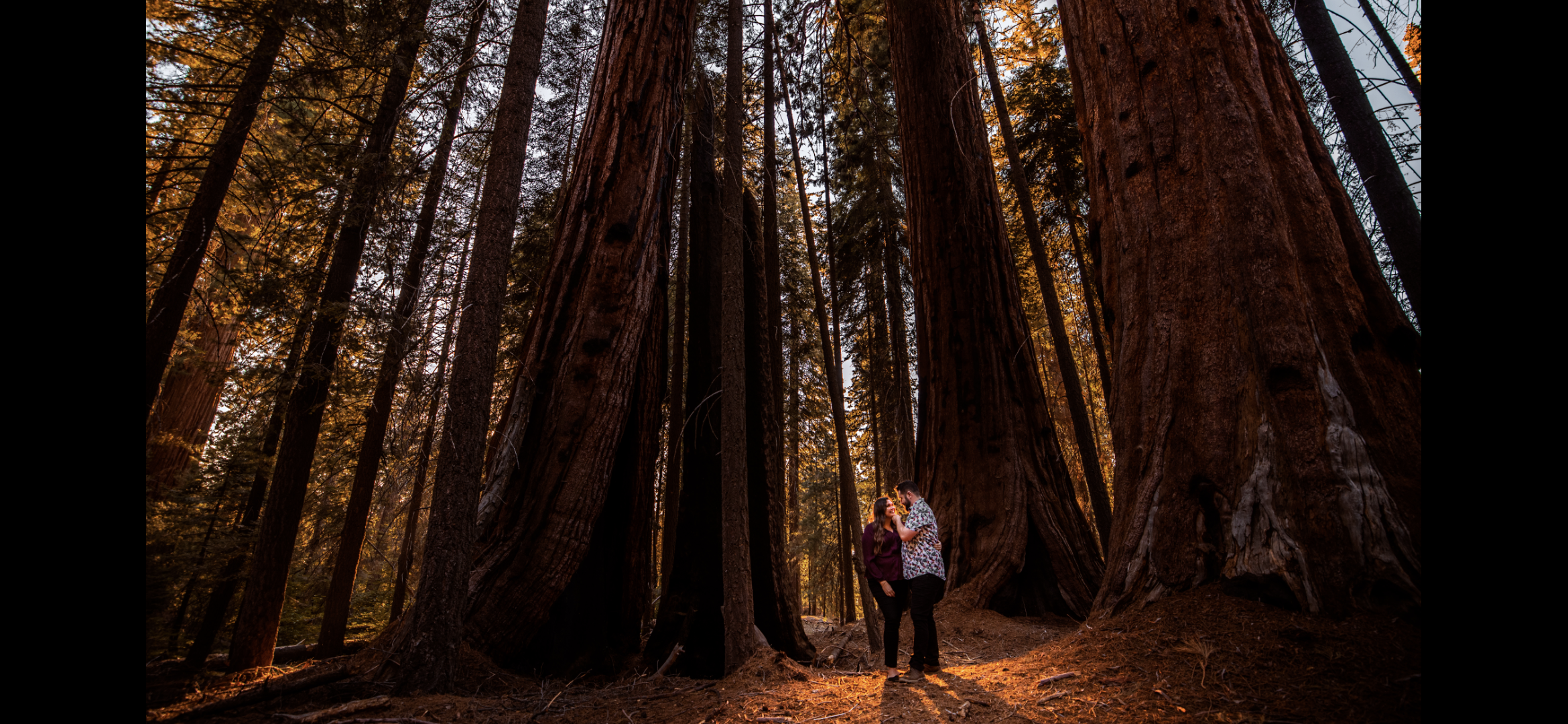 The Wedding Website of Chelsea McLoon and Steven Forton