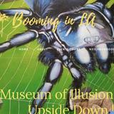 Museum of Illusions