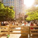 Trillium Garden on The Greenway