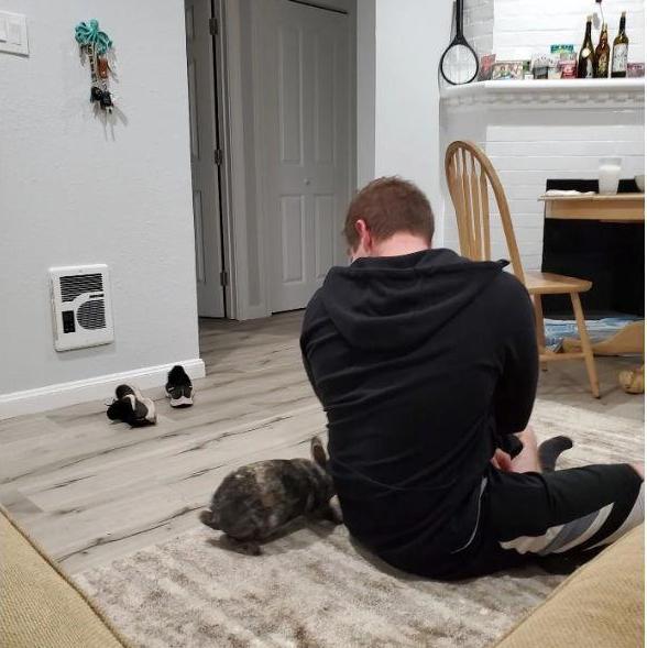 May 01, 2020 - We moved into our first apartment together with Tigger Bun in Berkeley.