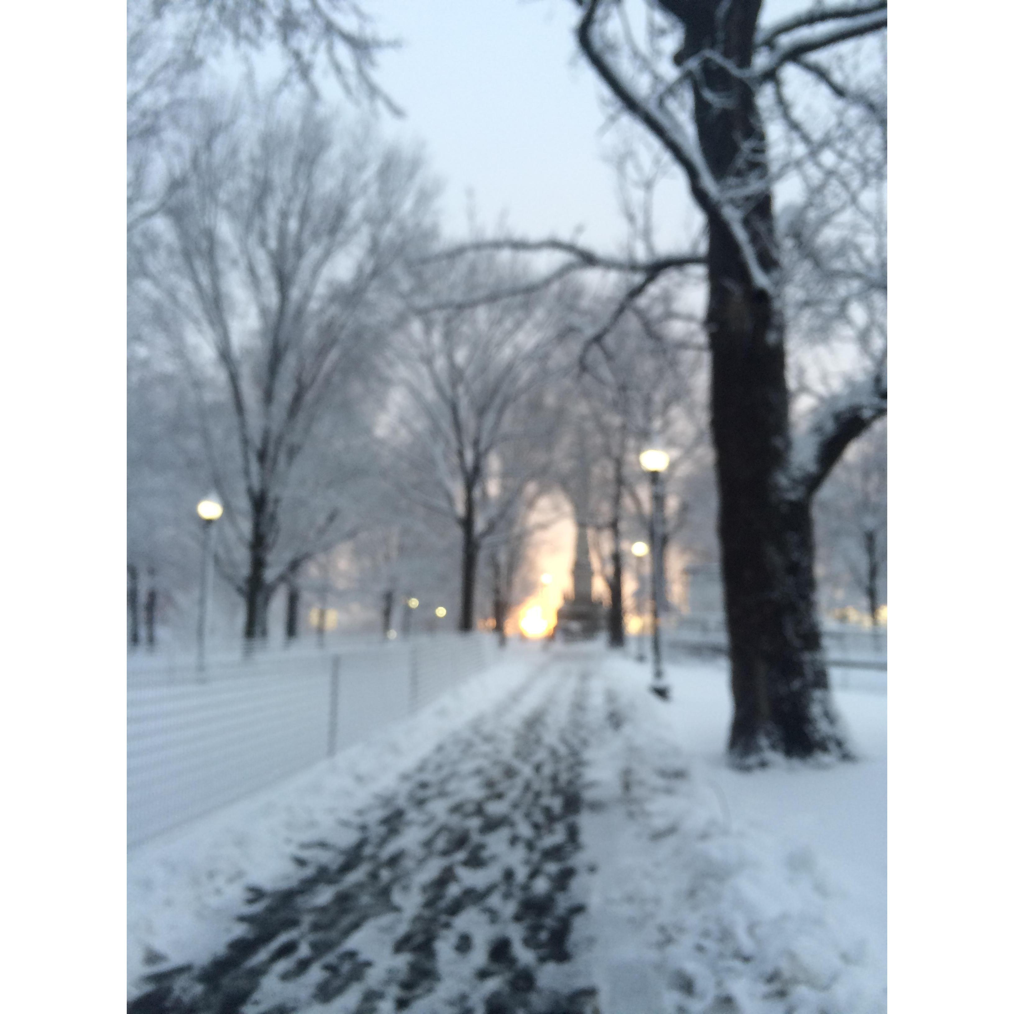 And just a reminder... this picture was taken the day before we left for our Tobago trip in 2016... in case you are forgetting what February in New England is like!