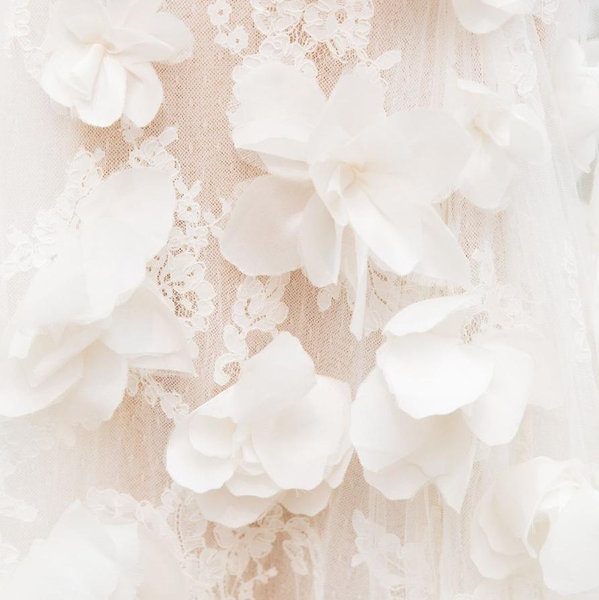 Wedding Photography and Food Fund