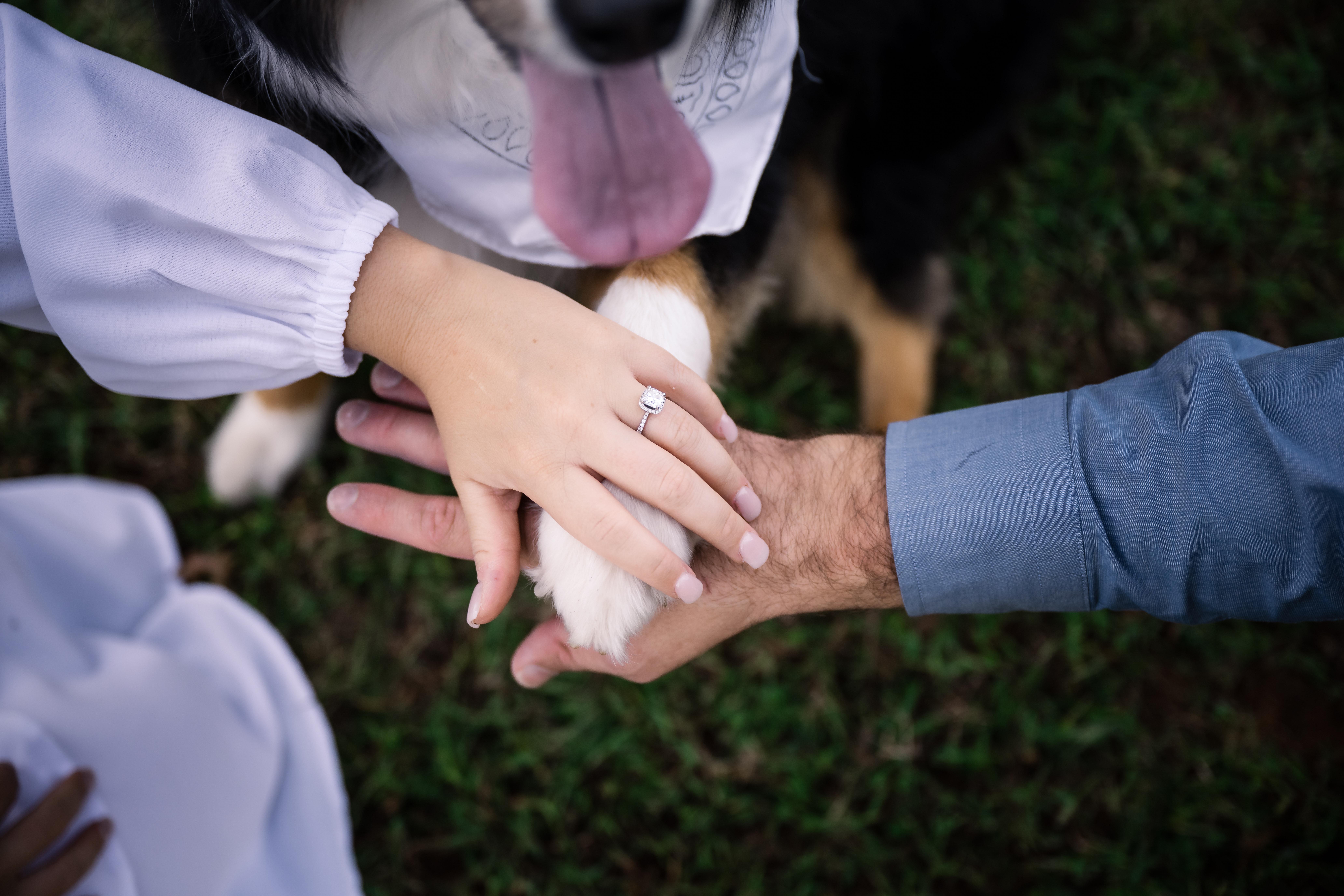 The Wedding Website of Alena Perdue and Jimmy Moran