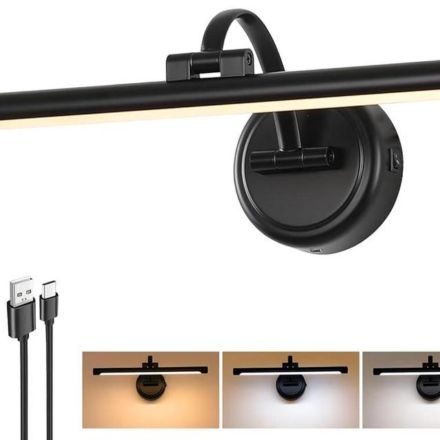 Tassuowell Rechargeable Picture Light for Wall, Cordless Art Lights Battery Operated, Dimmable Wall Light with Remote & Timer, 3 Color Modes for Paintings, Gallery, Artwork(Black, 15.7inch)