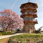 Stroll around Patterson Park