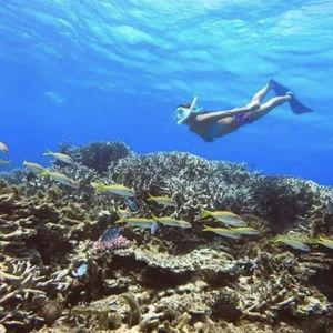 Snorkeling in the Reef at Resort