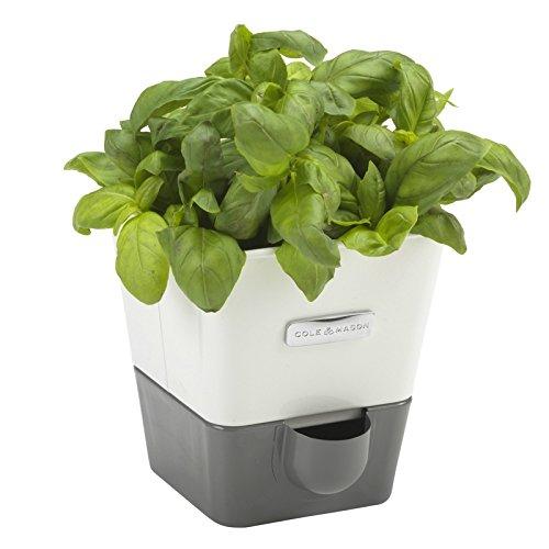Cole & Mason Self-Watering Potted Herb Keeper