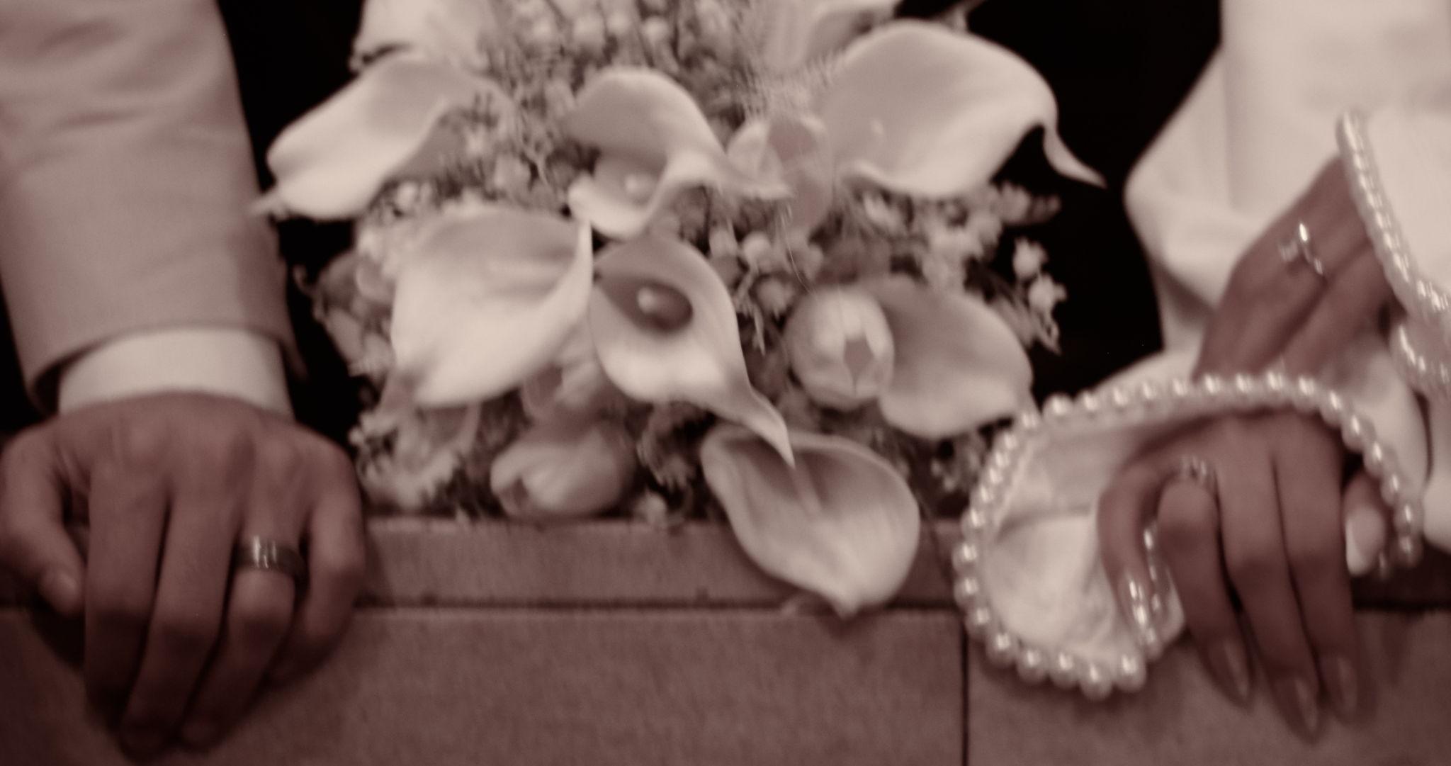 The Wedding Website of Ibrahim Antar and Elshaymaa Hussein