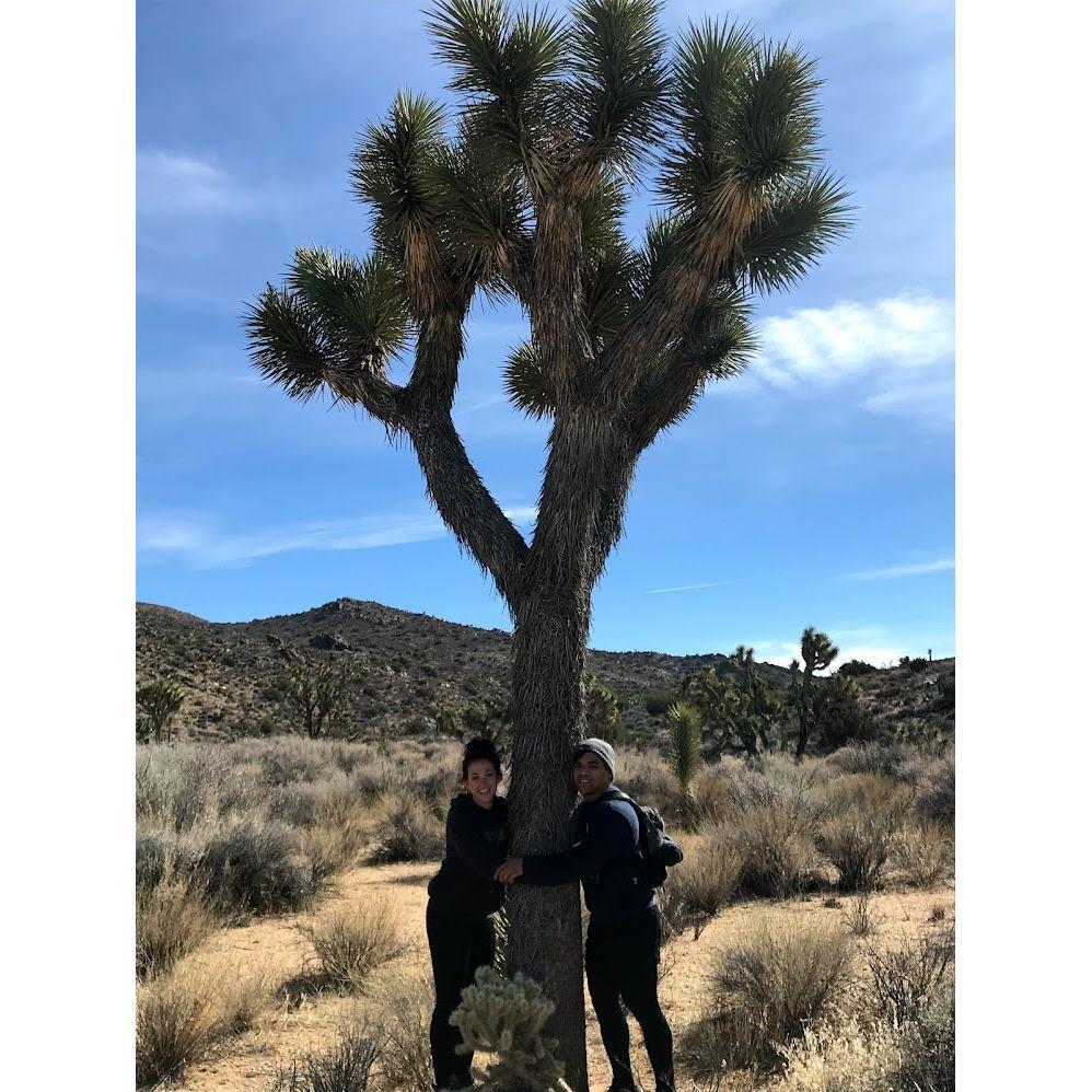 The only Joshua Tree we ever hugged