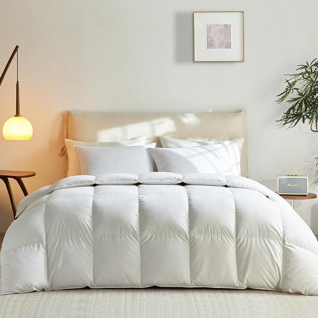 L LOVSOUL Goose Down Fiber Comforter Queen Size, 850+ Fill Power Hotel Style Bedding Comforter, 1200TC, Fluffy Ultra Soft All Season White Duvet Insert with 8 Corner Tabs