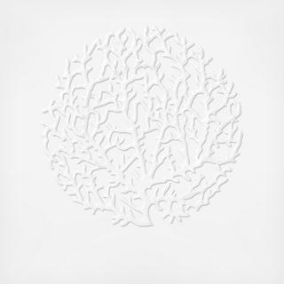 Coral Placemat, Set of 4