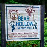 Bear Hollow Zoo