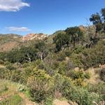 Whiting Ranch Wilderness Park