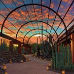 Desert Botanical Garden