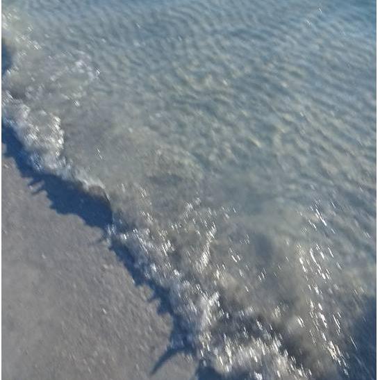 Beautiful beach in Siesta Key Sarasota Fl