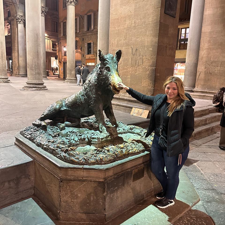 Porcellino M