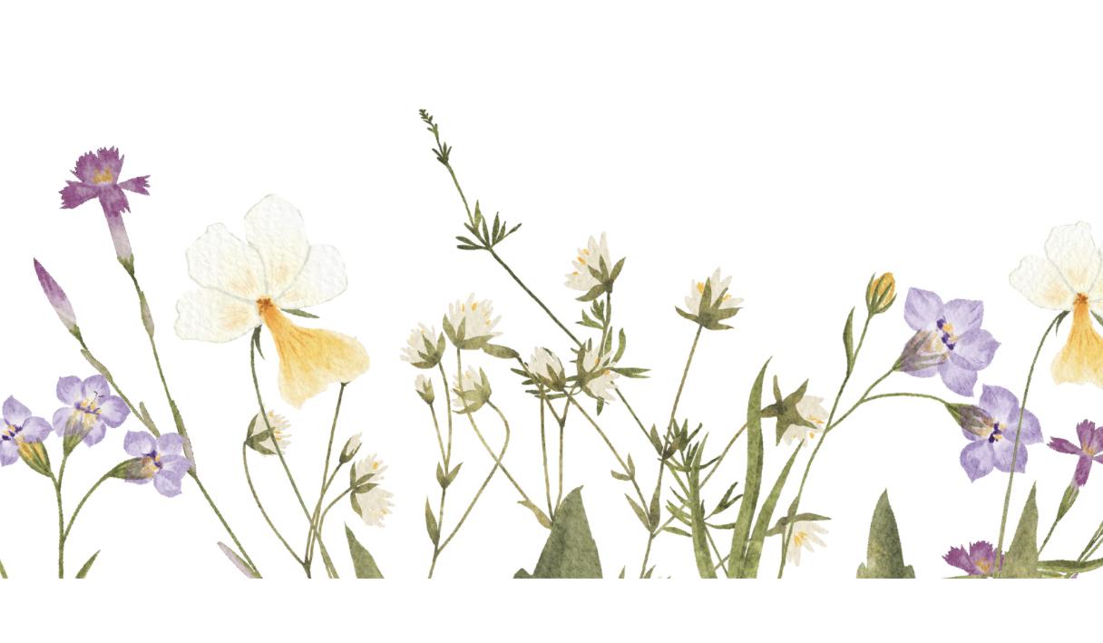 Footer image