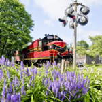 Cape Cod Central Railroad
