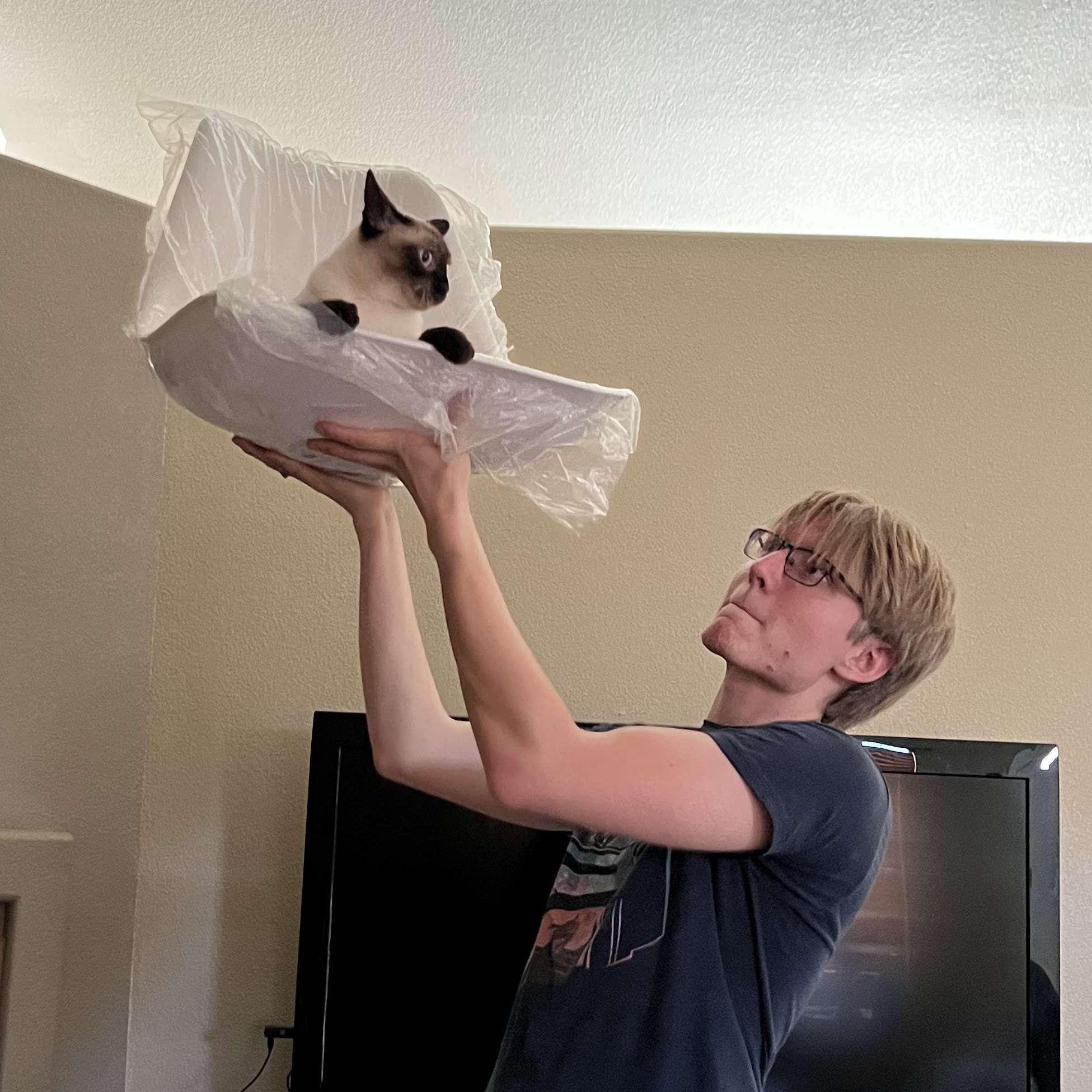 When we unboxed our dining chairs, the lady cat decided she liked sitting in them. We don't think she liked them anymore after this.