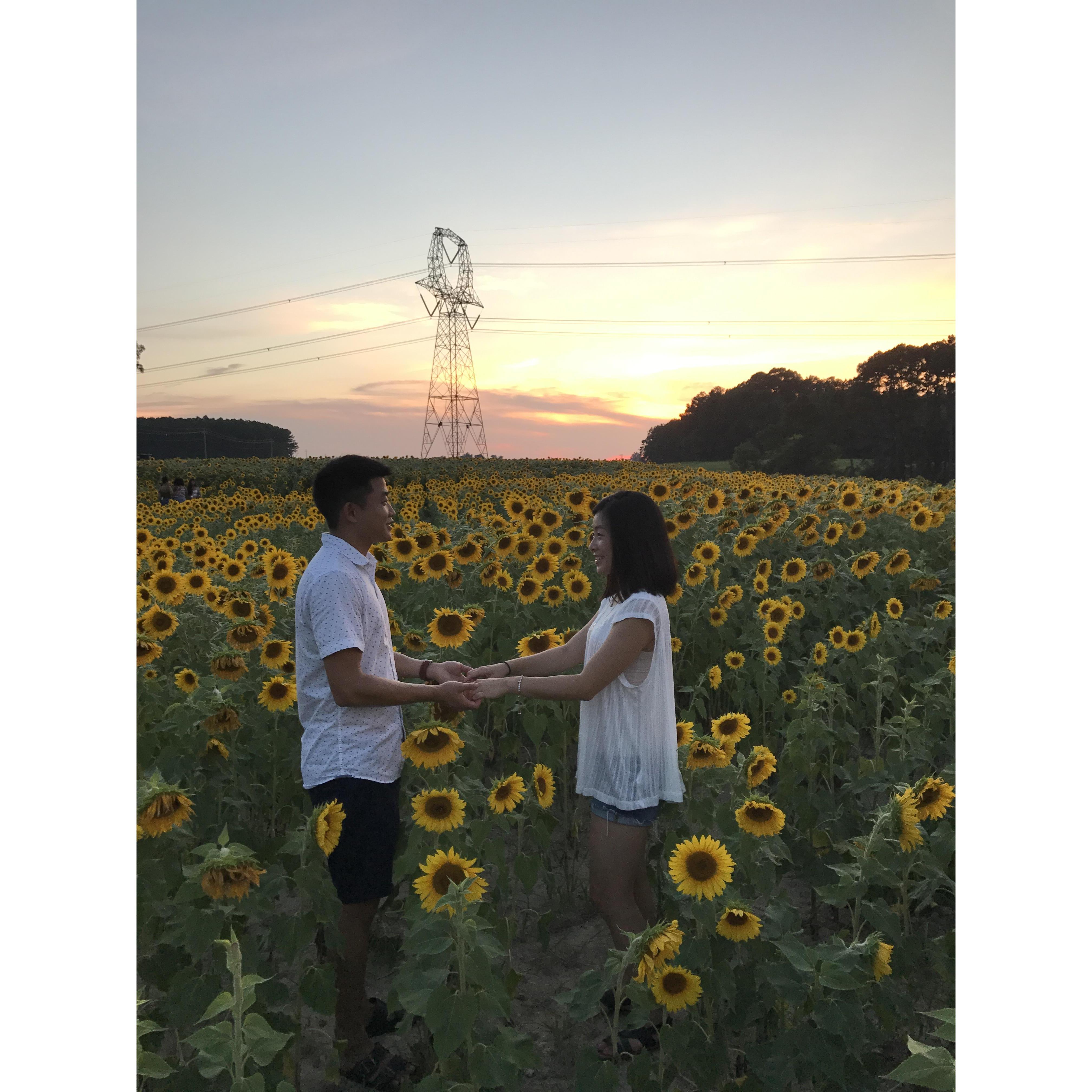 Our first date at a sunflower field