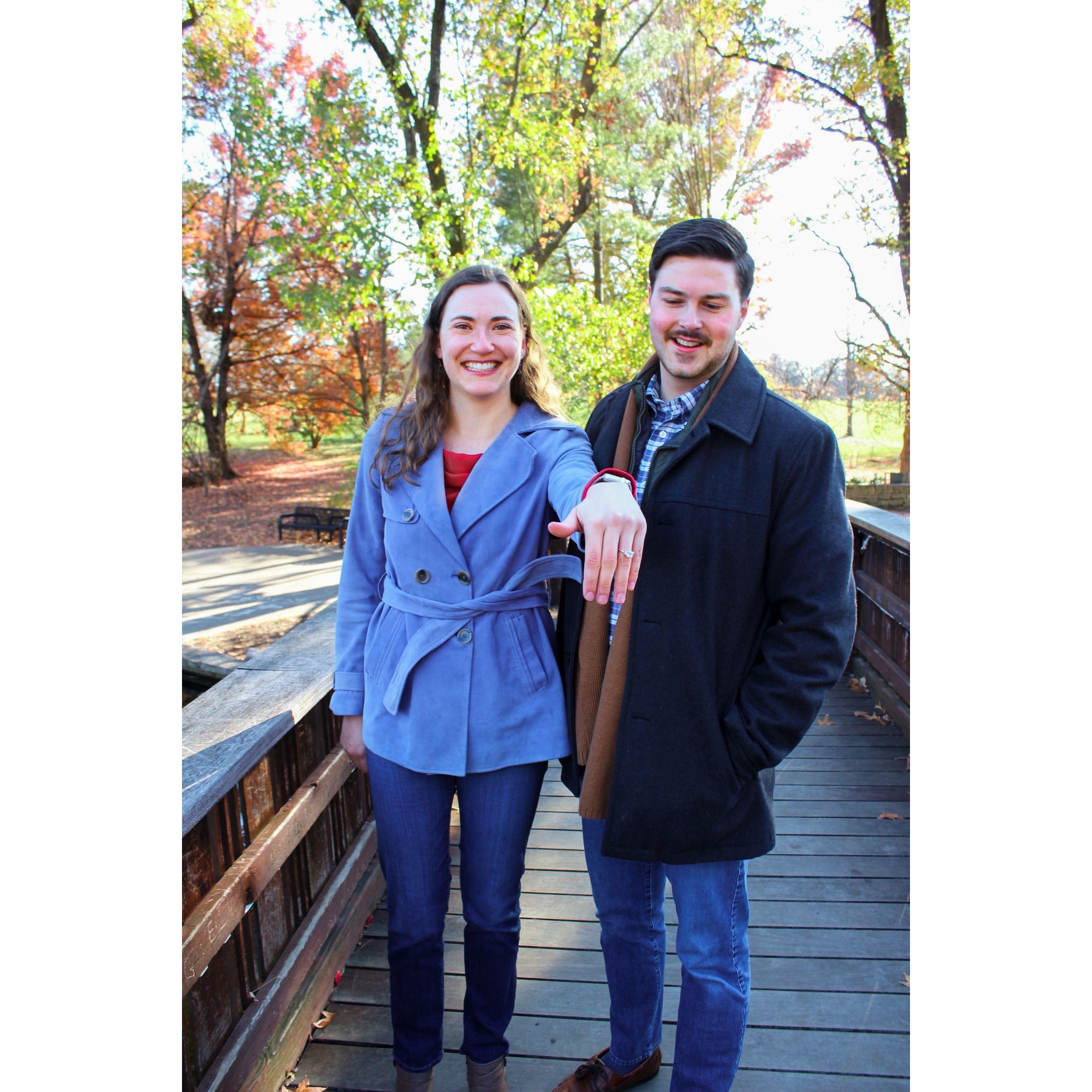 Engagement! November 2024