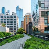 The High Line