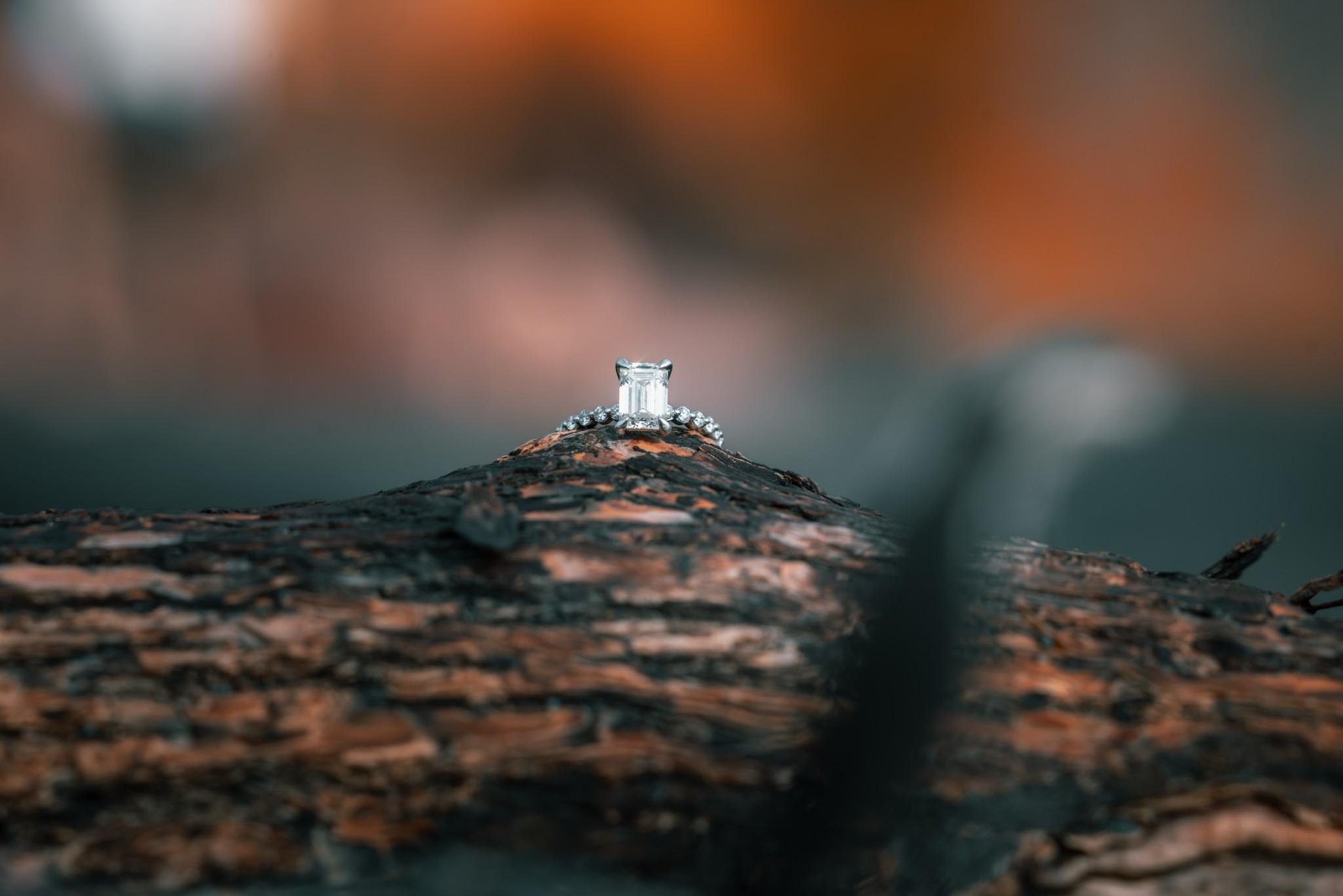 The Wedding Website of Jenna Hansen and Tyler Bremer