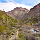 Sabino Canyon Crawler