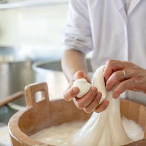 Cheese Making at the Masseria