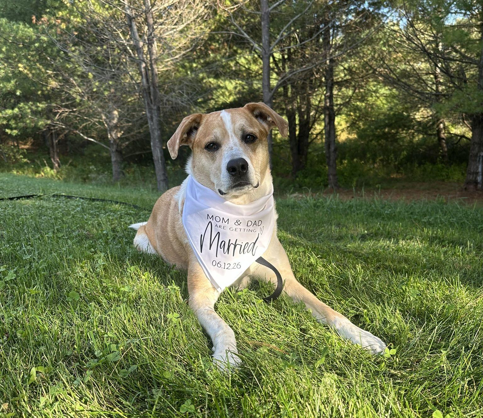 The Wedding Website of Kaitlin Doherty and Brian Nickel