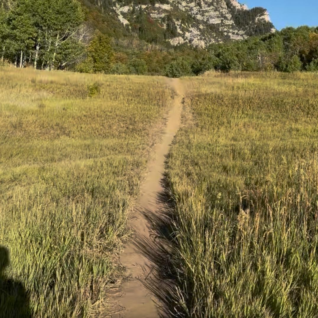 Trail to ceremony