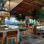 Juniper - Greenville