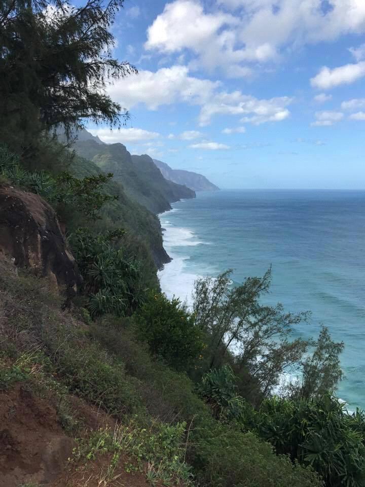 Where the proposal took place! Kalalau Falls Trail in Kauai, Hawaii.