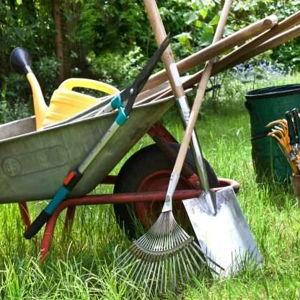 Backyard Bliss Fund