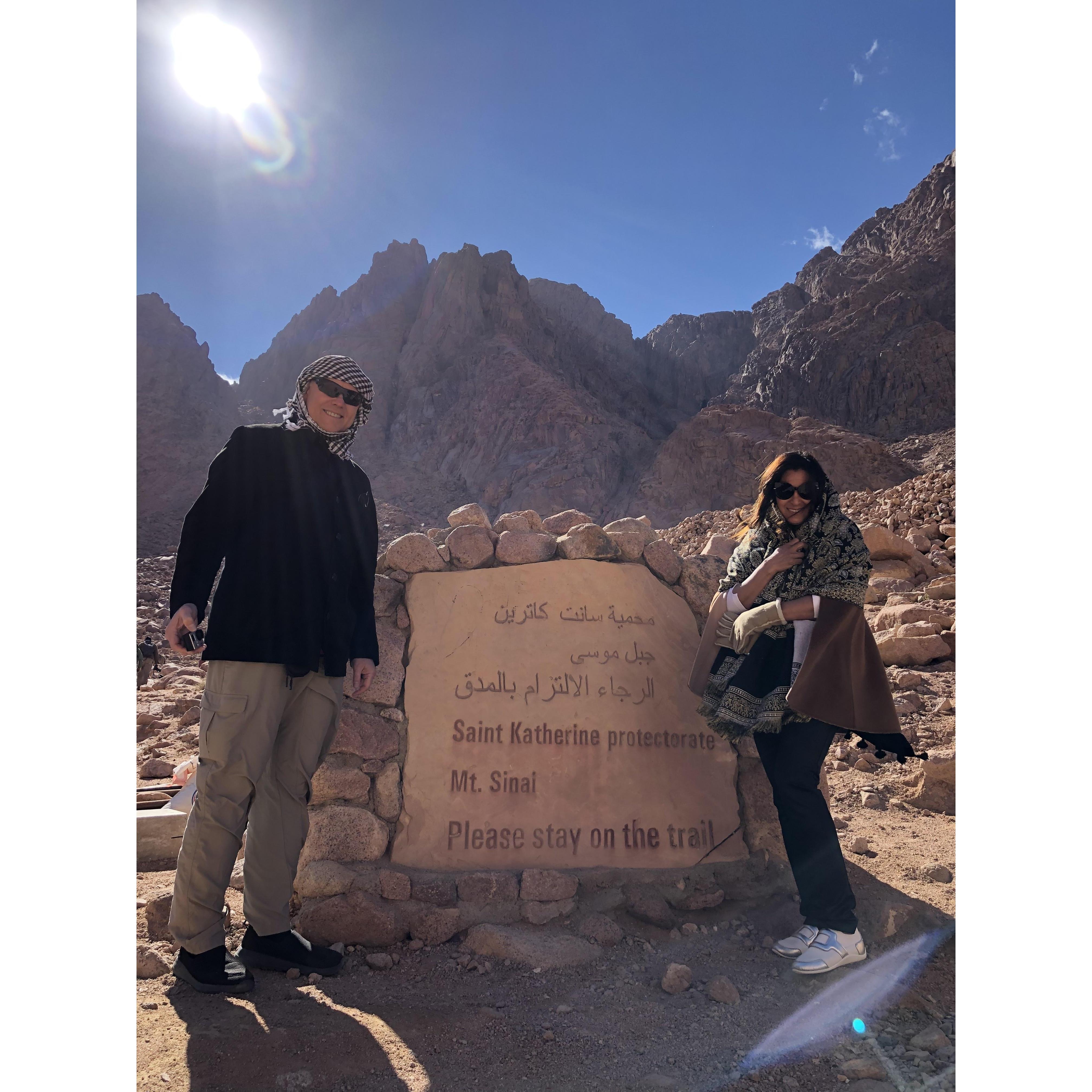 Mt Sinai