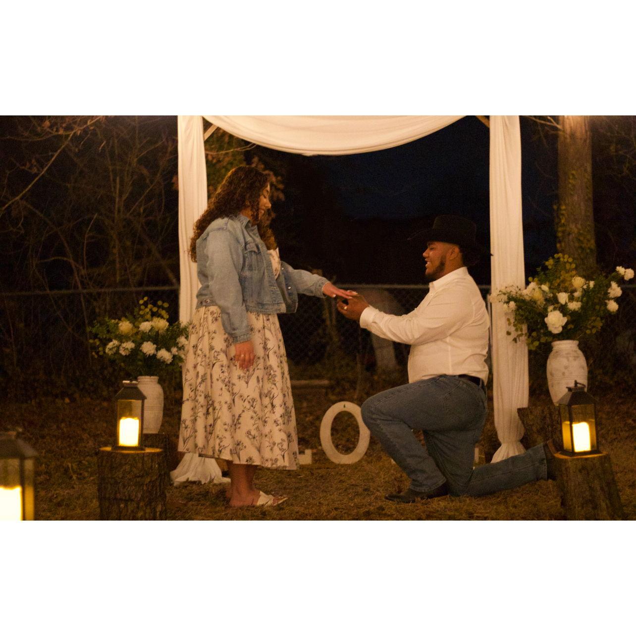 Proposal
