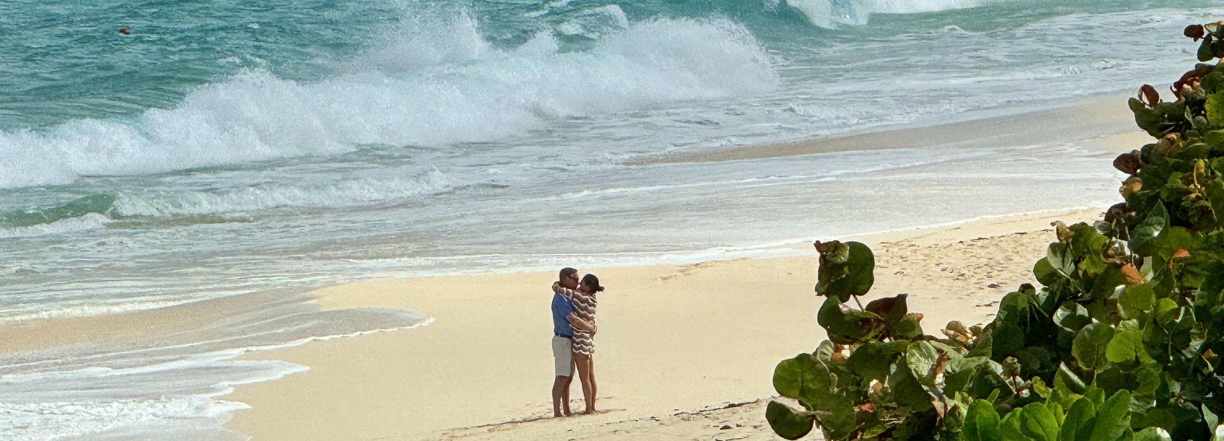 The Wedding Website of Kienan Brownrigg and Dan O'Callaghan