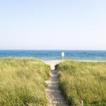 Some Great Beaches to Explore