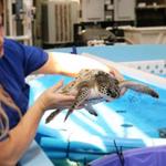 Marine Science Center