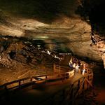 Mammoth Cave National Park