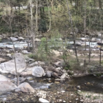 Riverwatch Bar & Grill